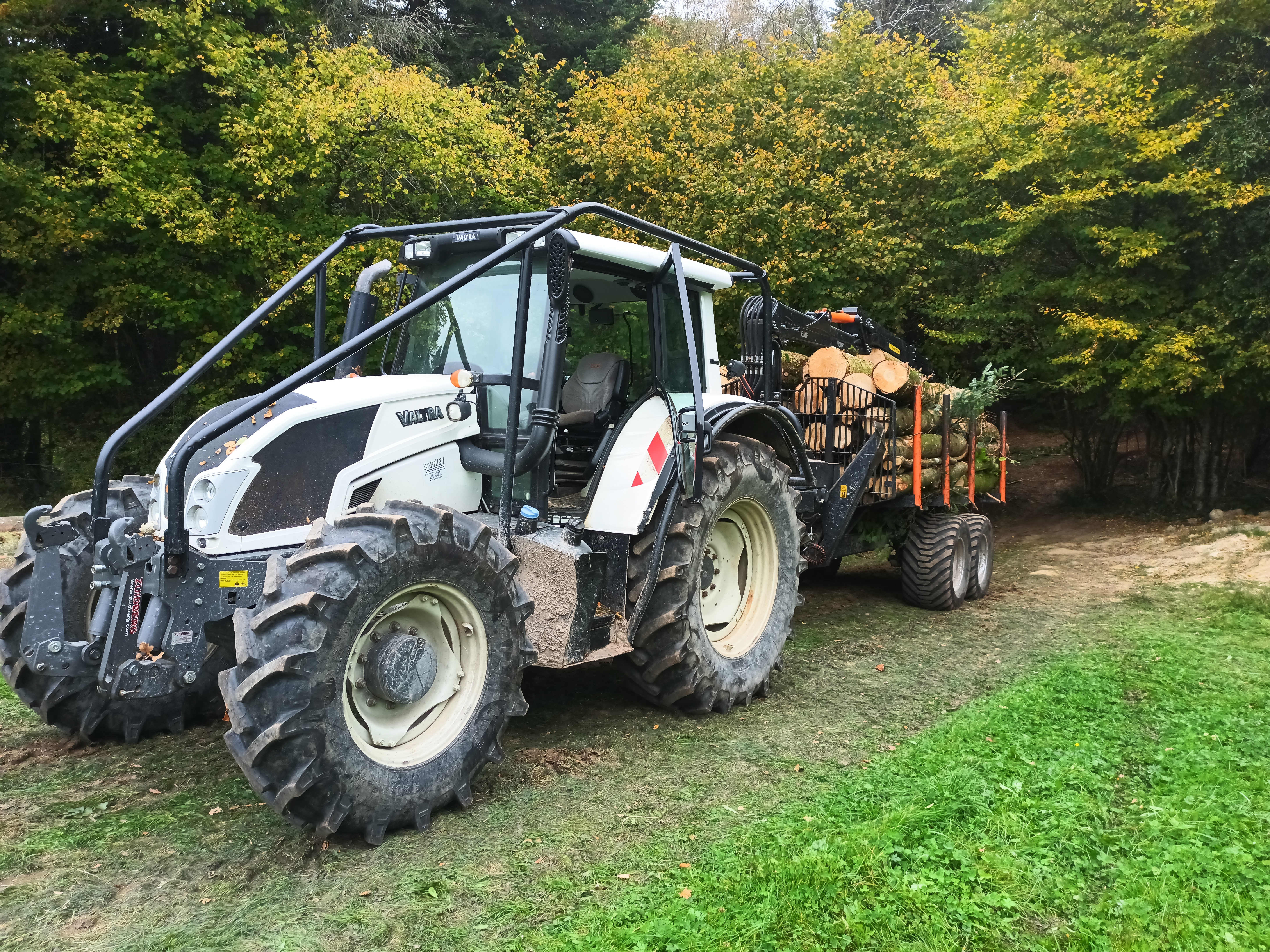 Achat de bois sur pied